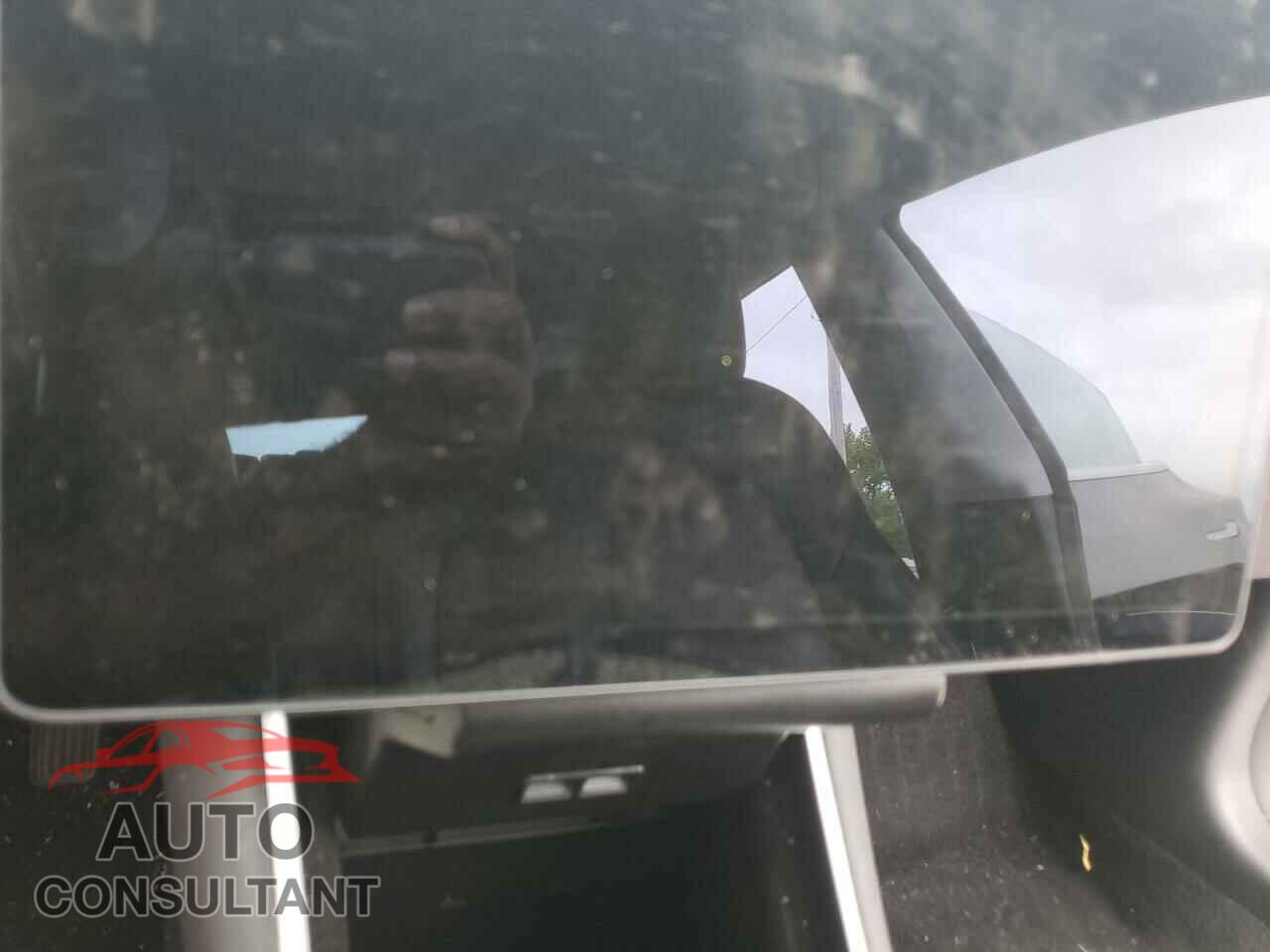 TESLA MODEL 3 2019 - 5YJ3E1EA6KF310938