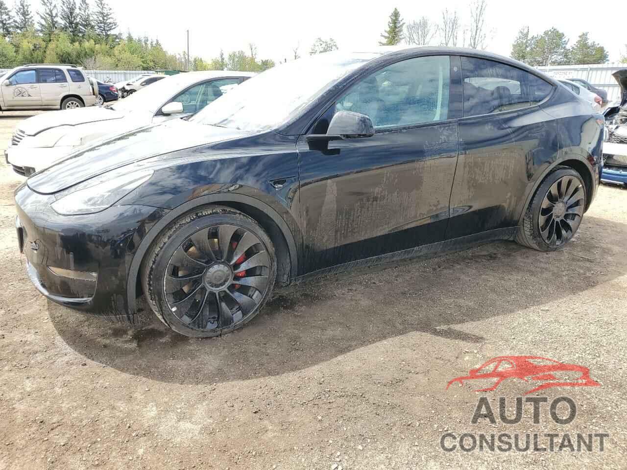 TESLA MODEL Y 2022 - 7SAYGDEF3NF532177