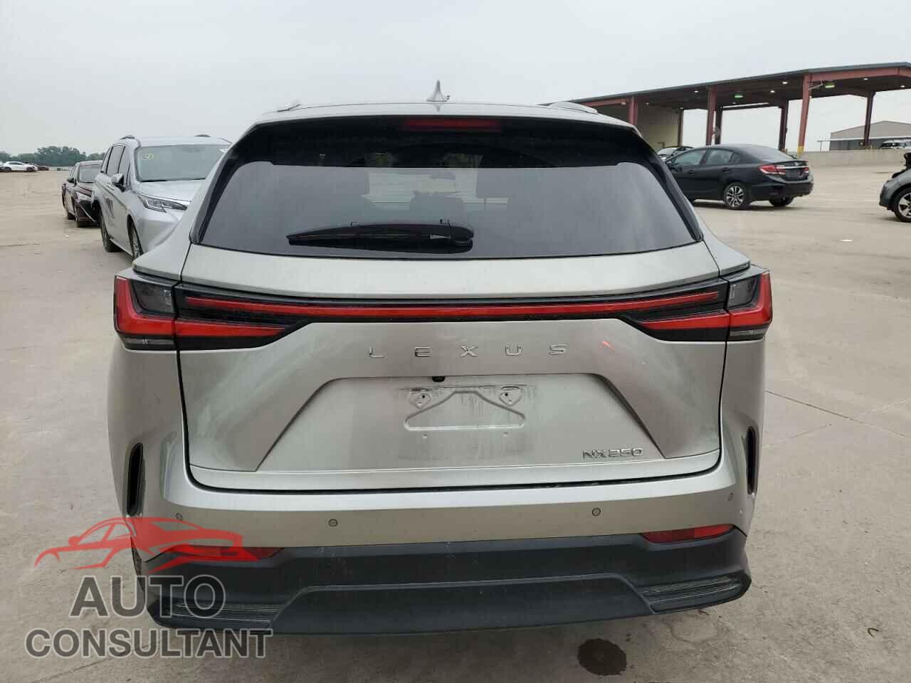 LEXUS NX 250 2023 - 2T2GDCAZ7PC005032