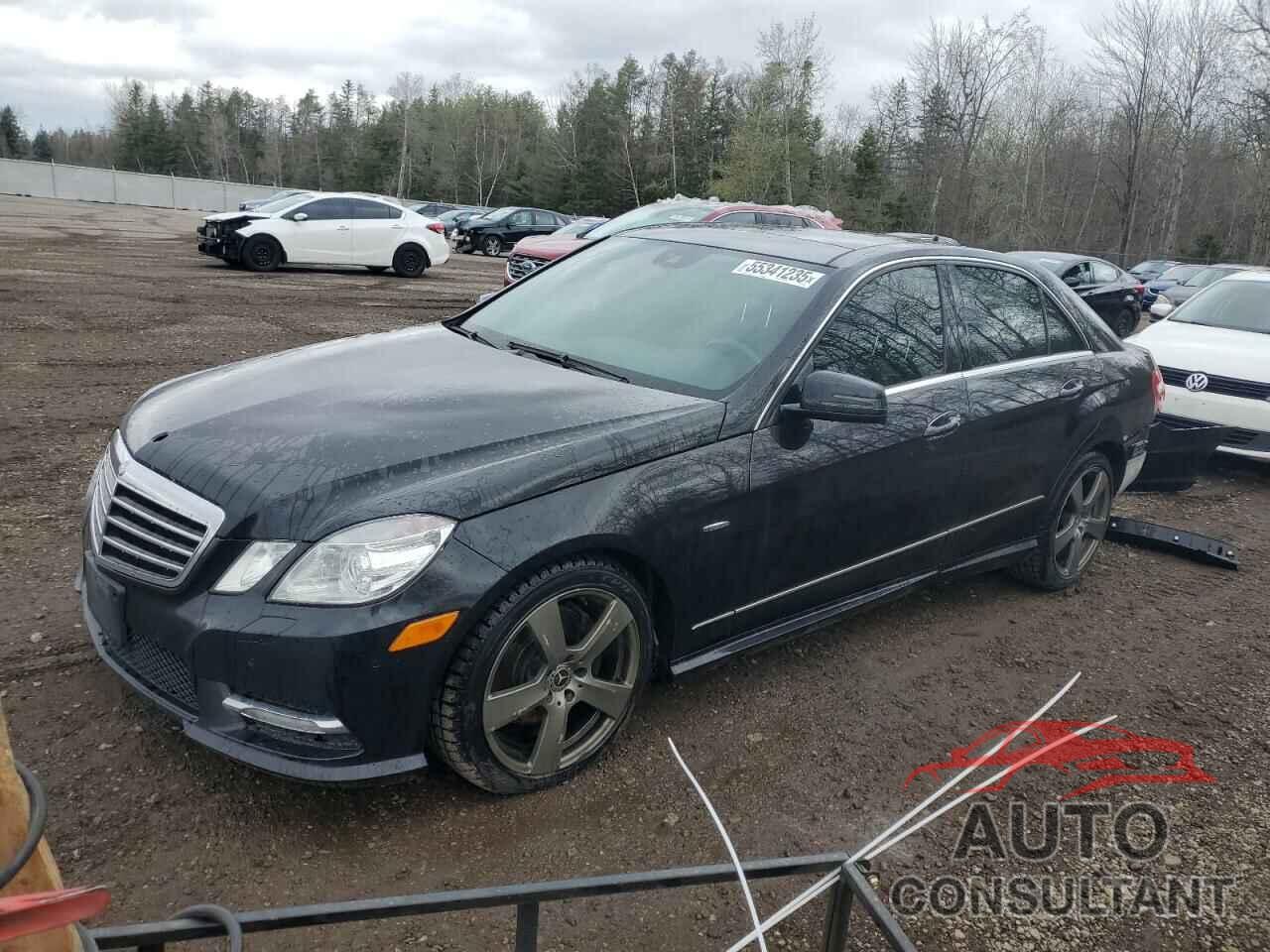 MERCEDES-BENZ E-CLASS 2012 - WDDHF2EB5CA551665