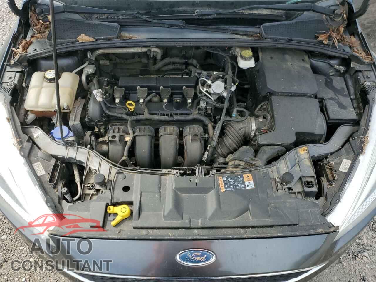 FORD FOCUS 2018 - 1FADP3E20JL201539