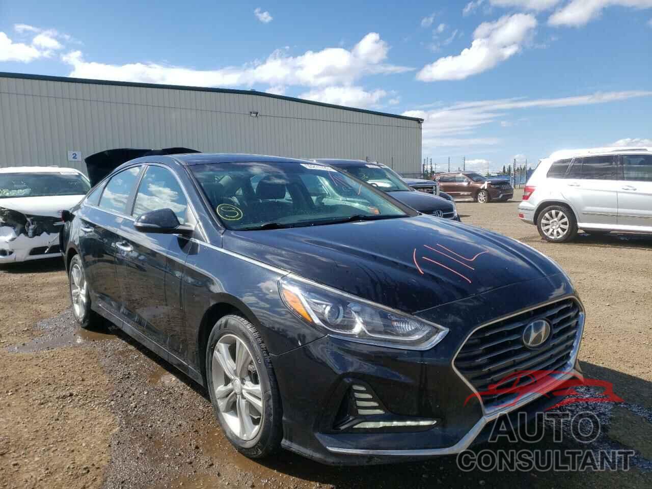 HYUNDAI SONATA 2018 - 5NPE34AF1JH608881