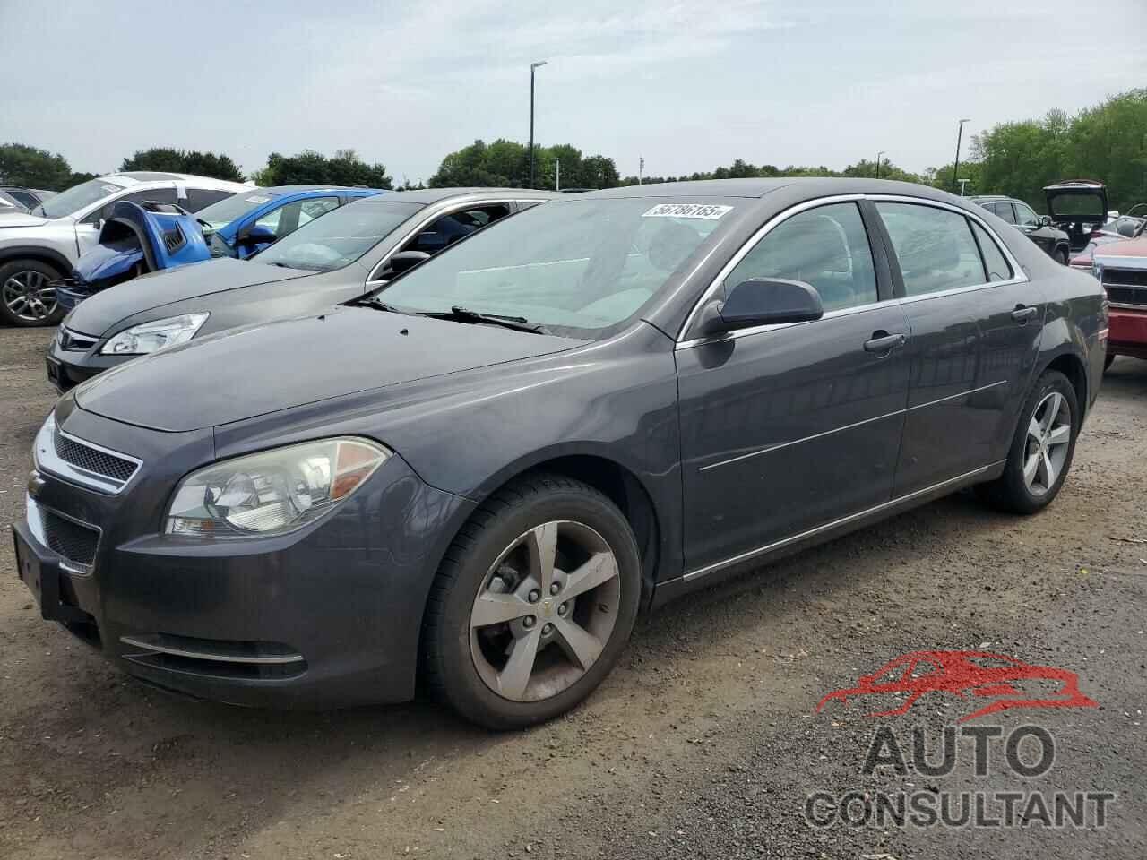 CHEVROLET MALIBU 2011 - 1G1ZC5E19BF265375