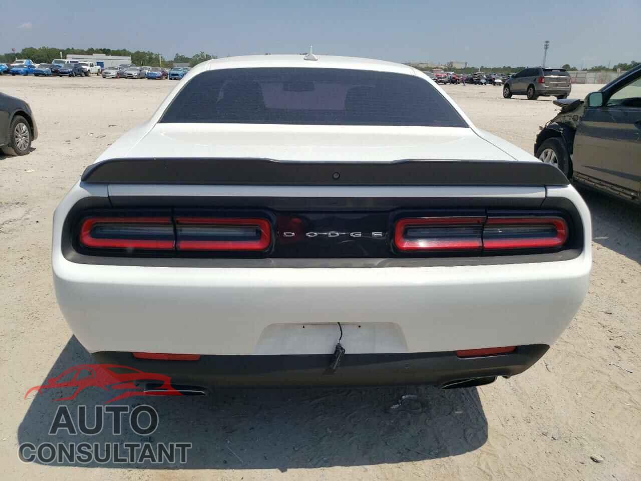 DODGE CHALLENGER 2019 - 2C3CDZBT6KH694886