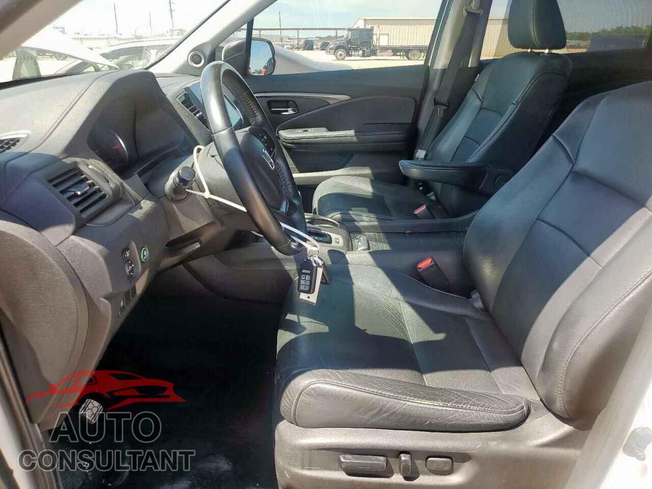 HONDA PILOT 2019 - 5FNYF6H46KB032113