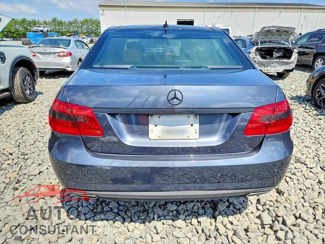 MERCEDES-BENZ E-CLASS 2010 - WDDHF9AB5AA188666