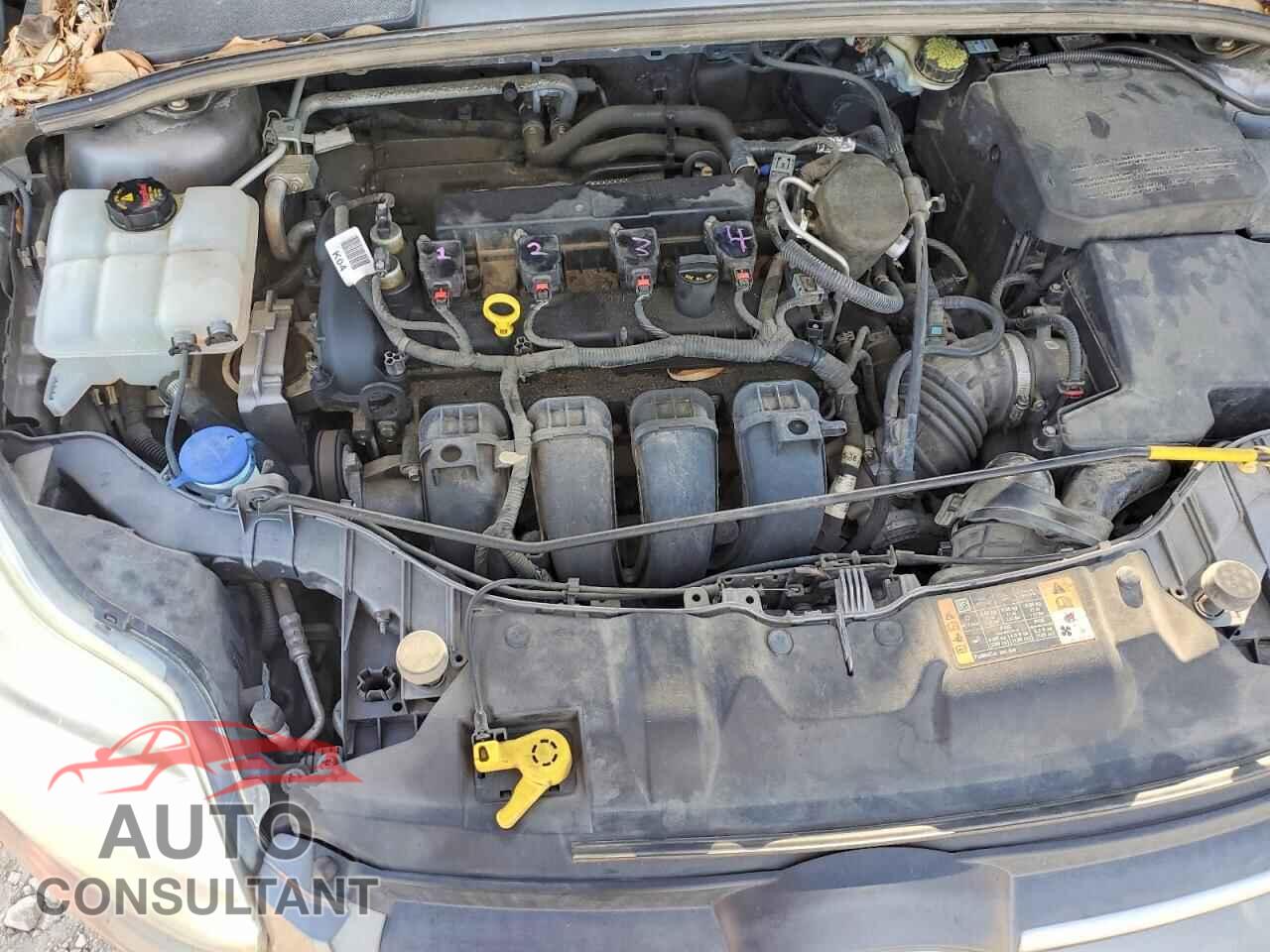 FORD FOCUS 2014 - 1FADP3K26EL391941