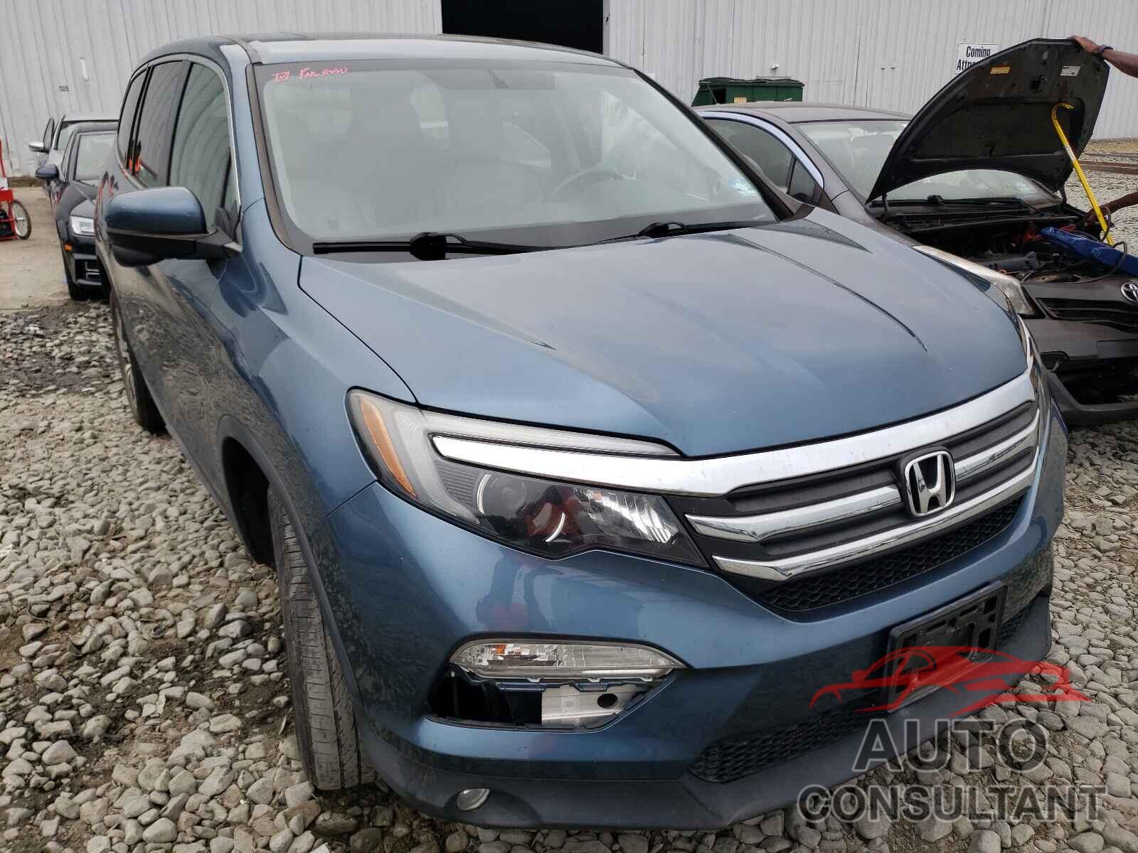 HONDA PILOT 2016 - 5FNYF6H83GB017630