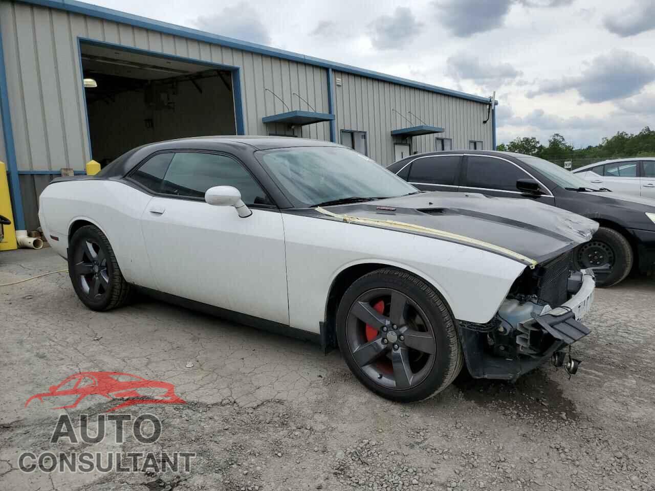 DODGE CHALLENGER 2013 - 2C3CDYBT8DH653236