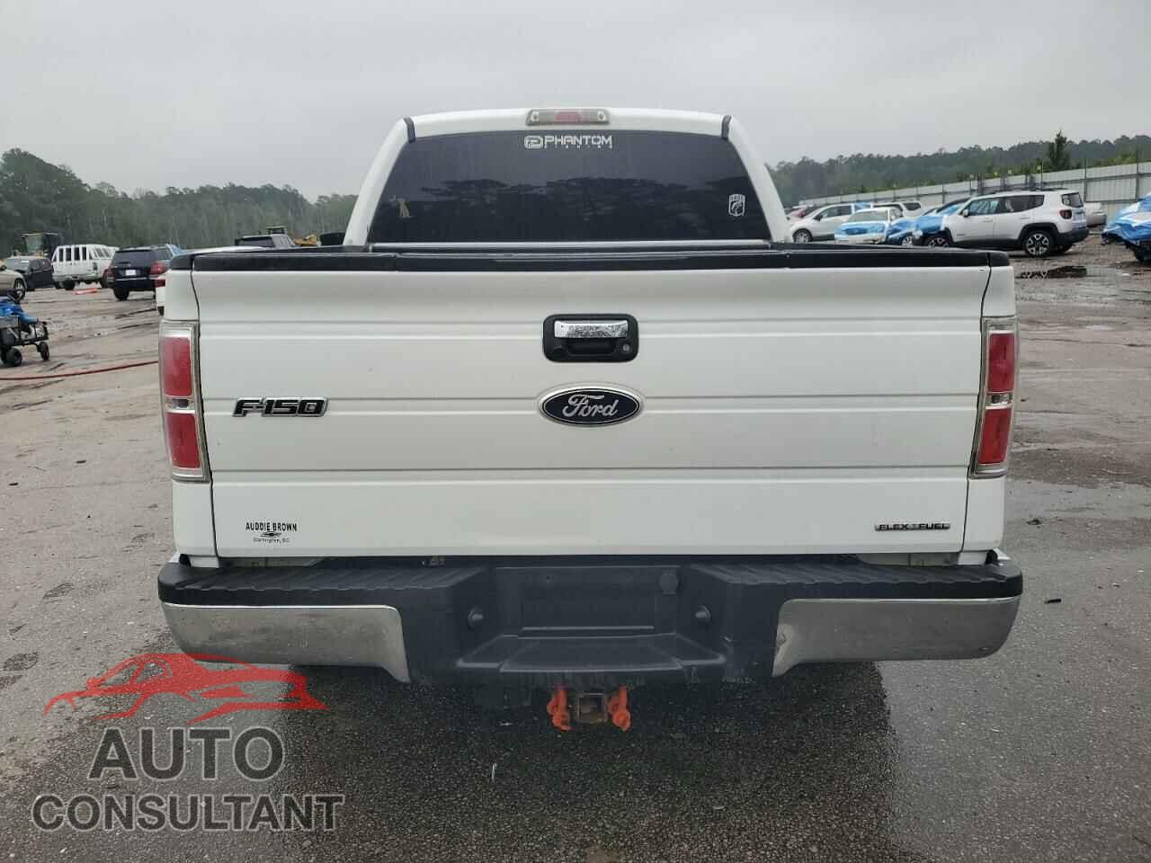 FORD F-150 2011 - 1FTFW1CF5BFD20767