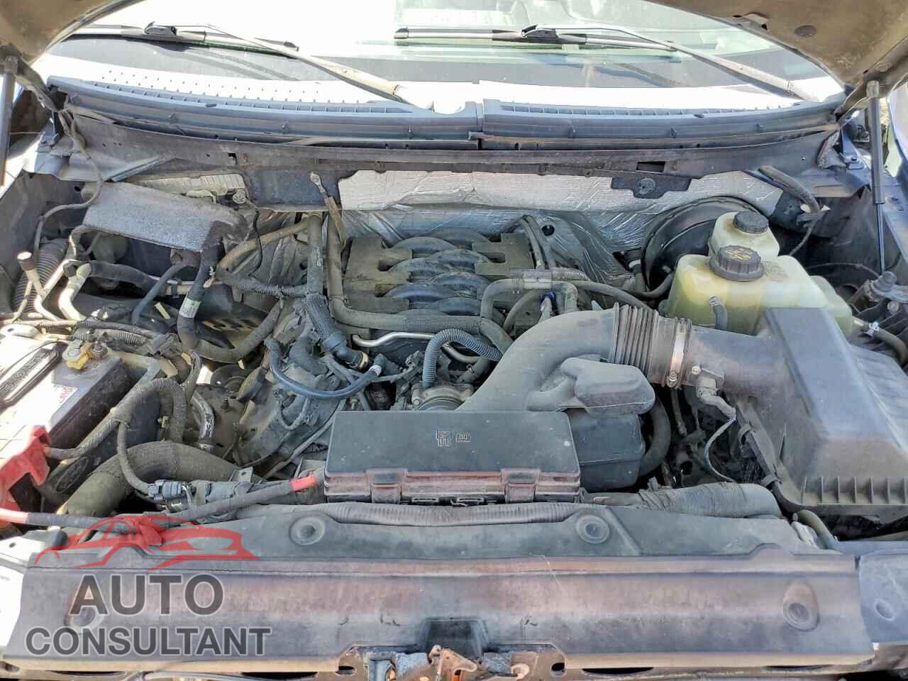 FORD F150 2011 - 1FTFW1CF4BFB54371