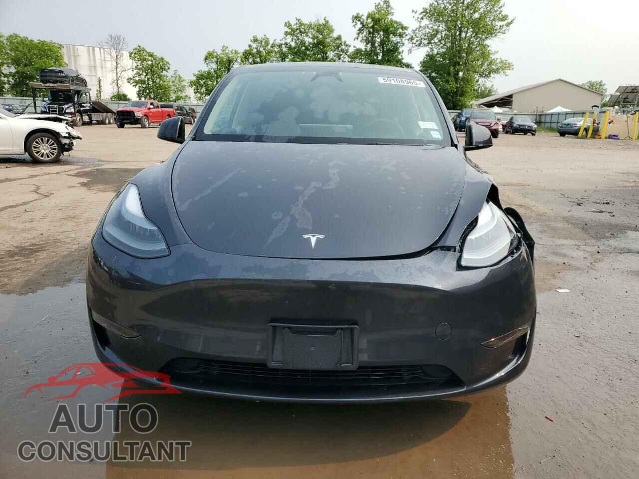 TESLA MODEL Y 2024 - 7SAYGDEE3RF200933
