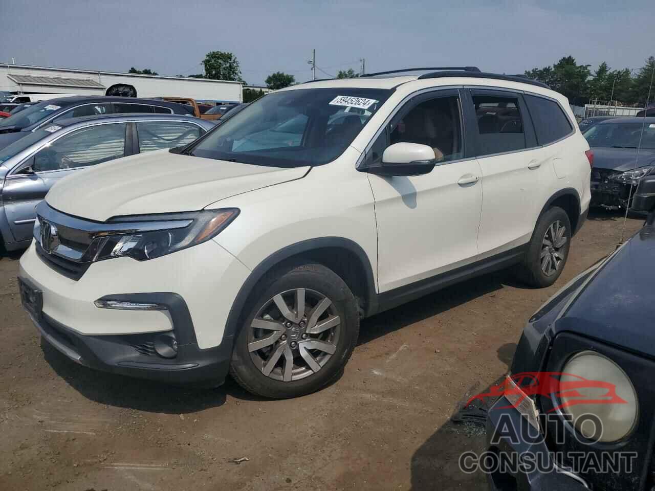 HONDA PILOT 2019 - 5FNYF6H59KB019395