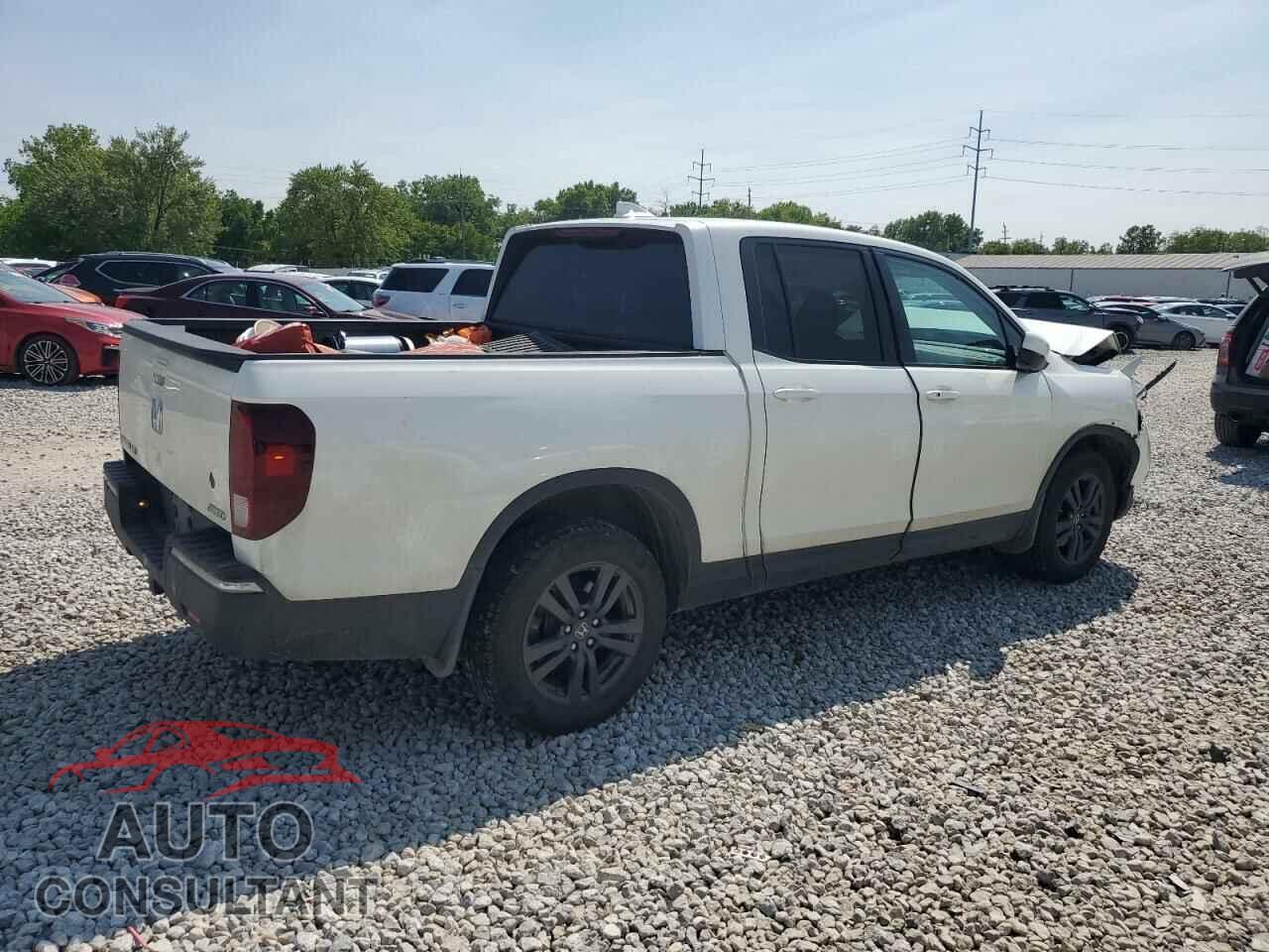 HONDA RIDGELINE 2019 - 5FPYK3F12KB032801