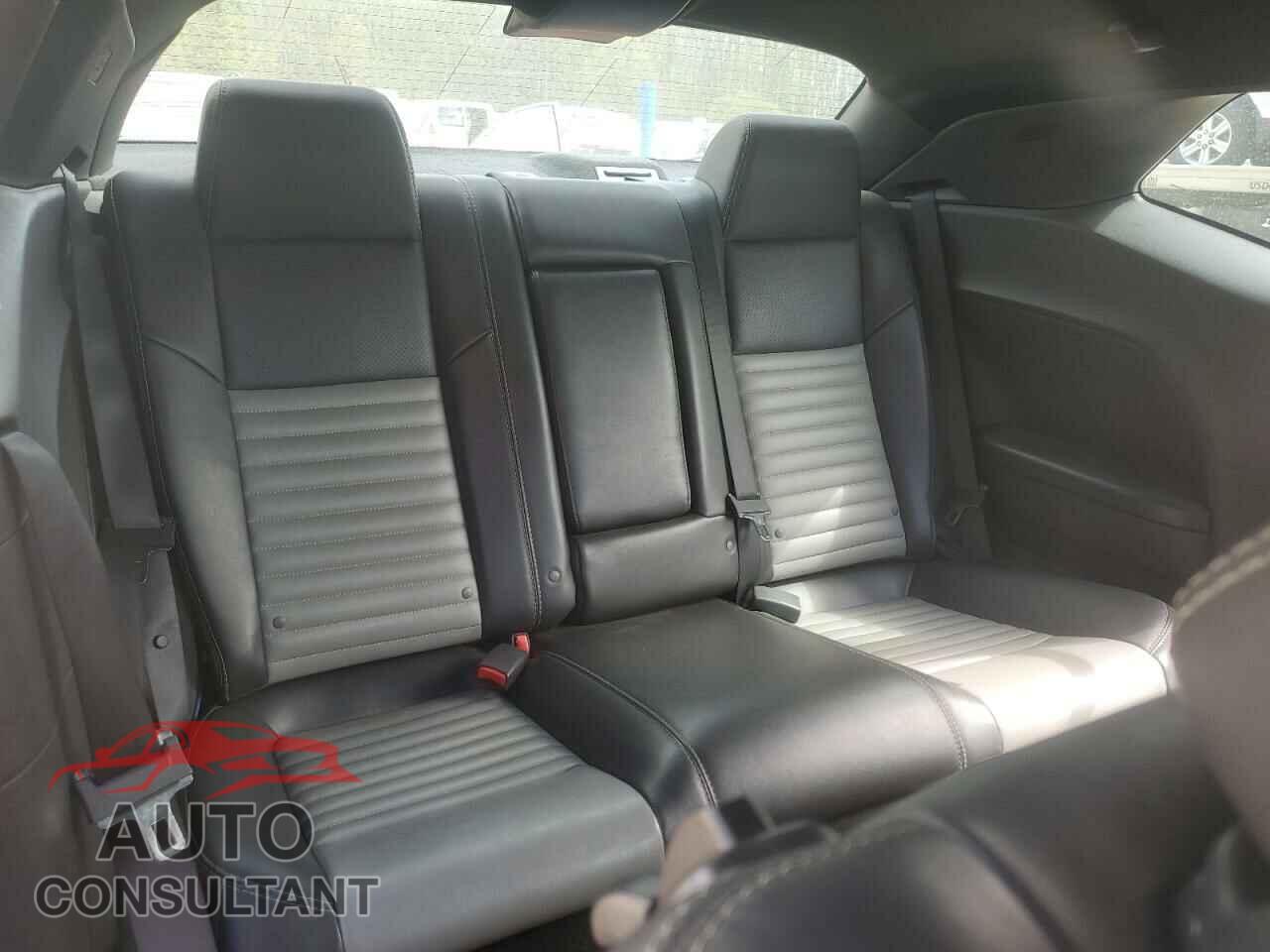 DODGE CHALLENGER 2010 - 2B3CJ4DV2AH314321