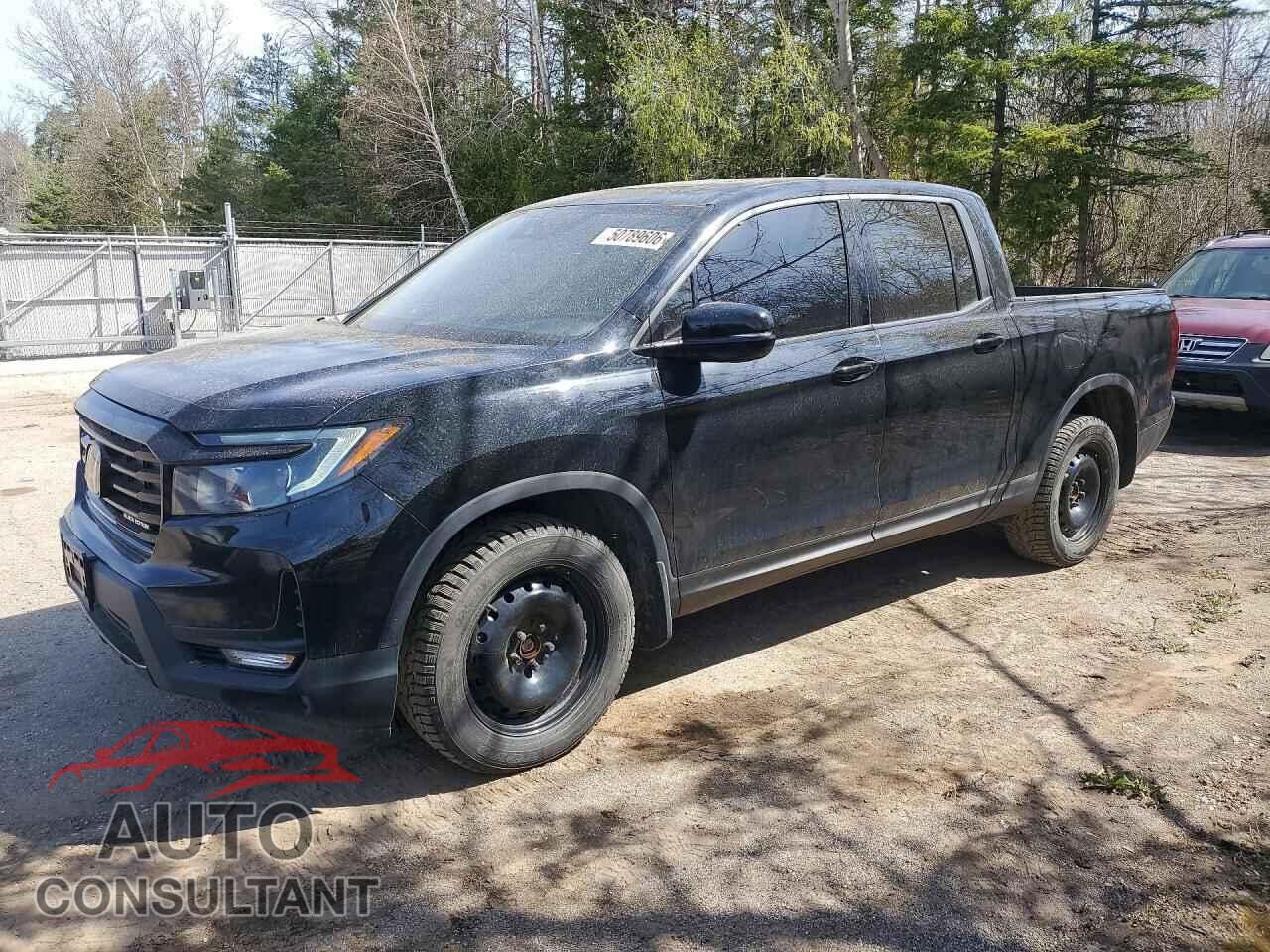 HONDA RIDGELINE 2021 - 5FPYK3F88MB500904