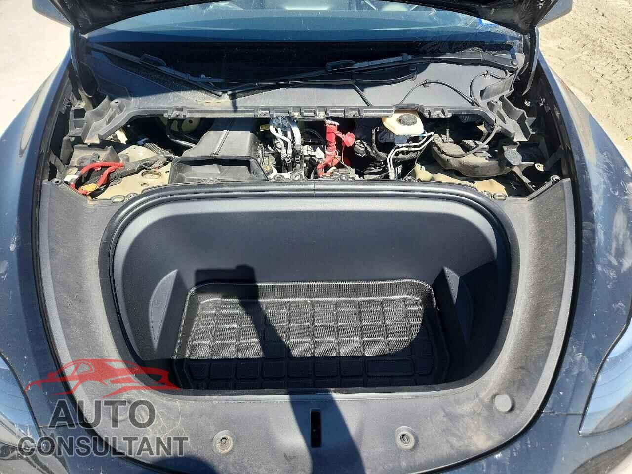 TESLA MODEL Y 2024 - 7SAYGDEF7RF037406