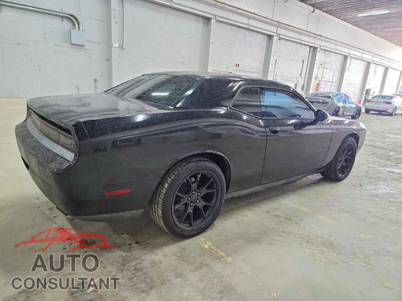 DODGE CHALLENGER 2013 - 2C3CDYAG6DH536453
