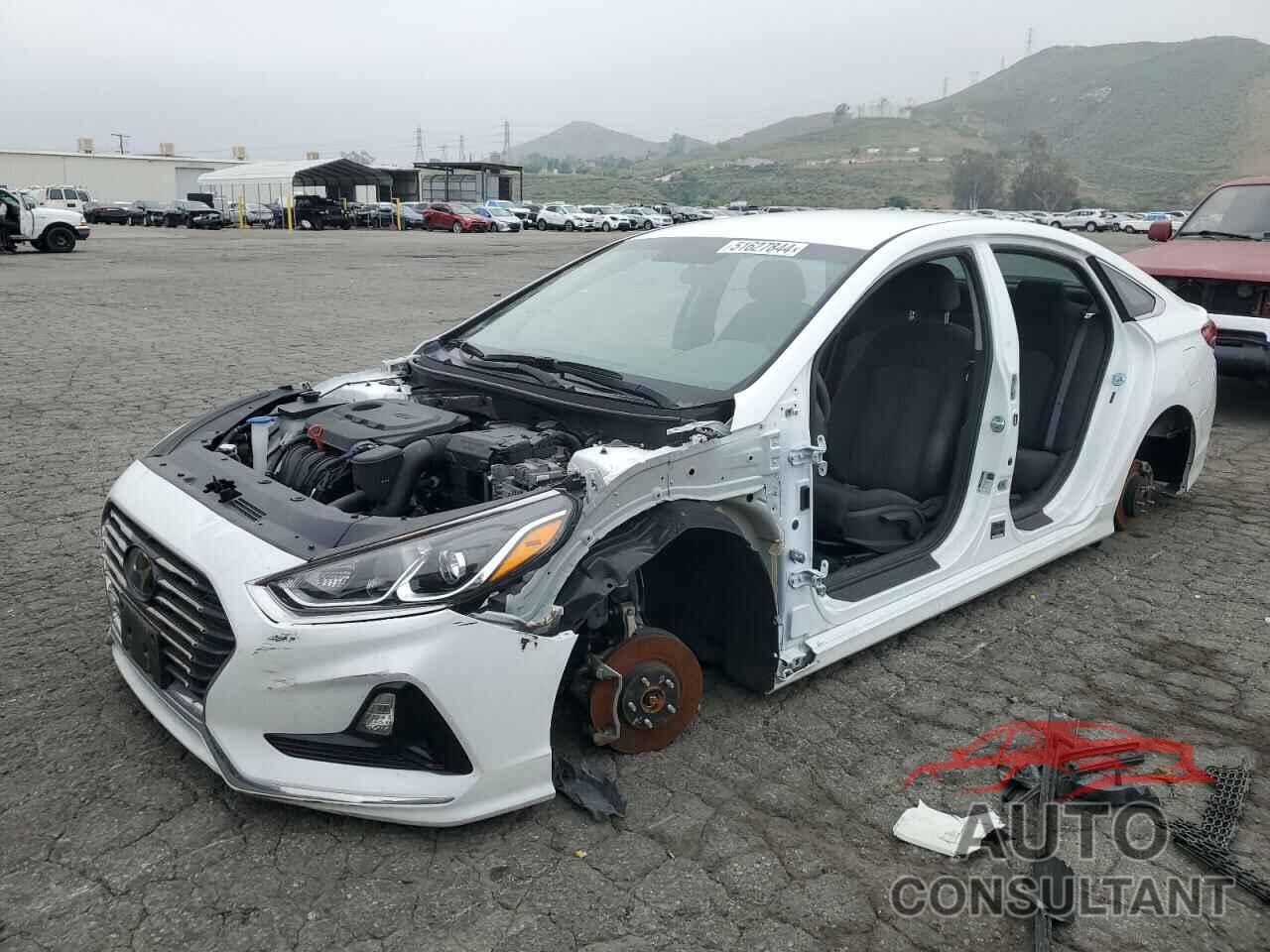 HYUNDAI SONATA 2019 - 5NPE24AF2KH811346