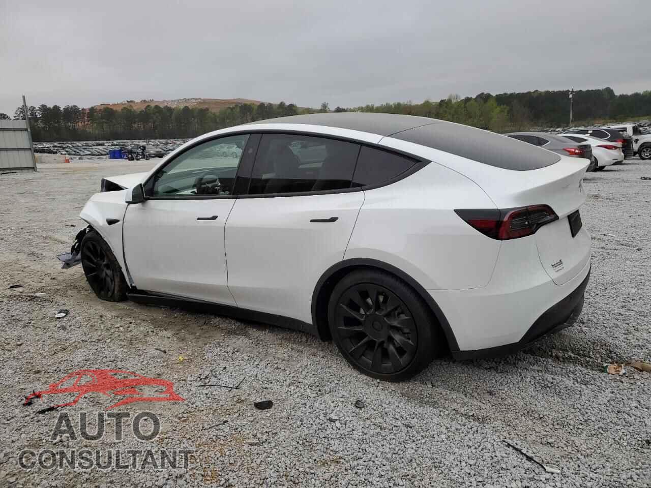 TESLA MODEL Y 2024 - 7SAYGDEDXRF038113