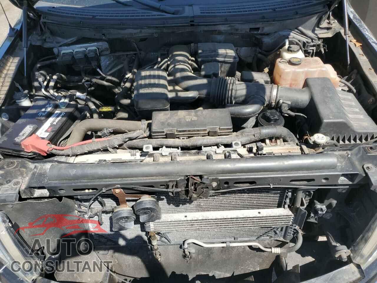 FORD F-150 2010 - 1FTFX1EV2AFB61013