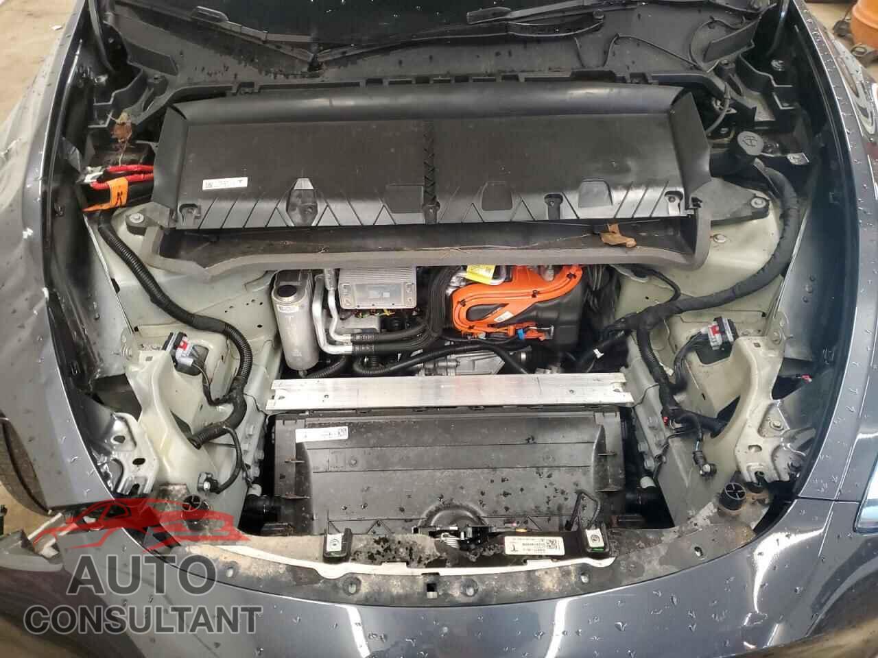 TESLA MODEL Y 2024 - 7SAYGDEE8RF176659