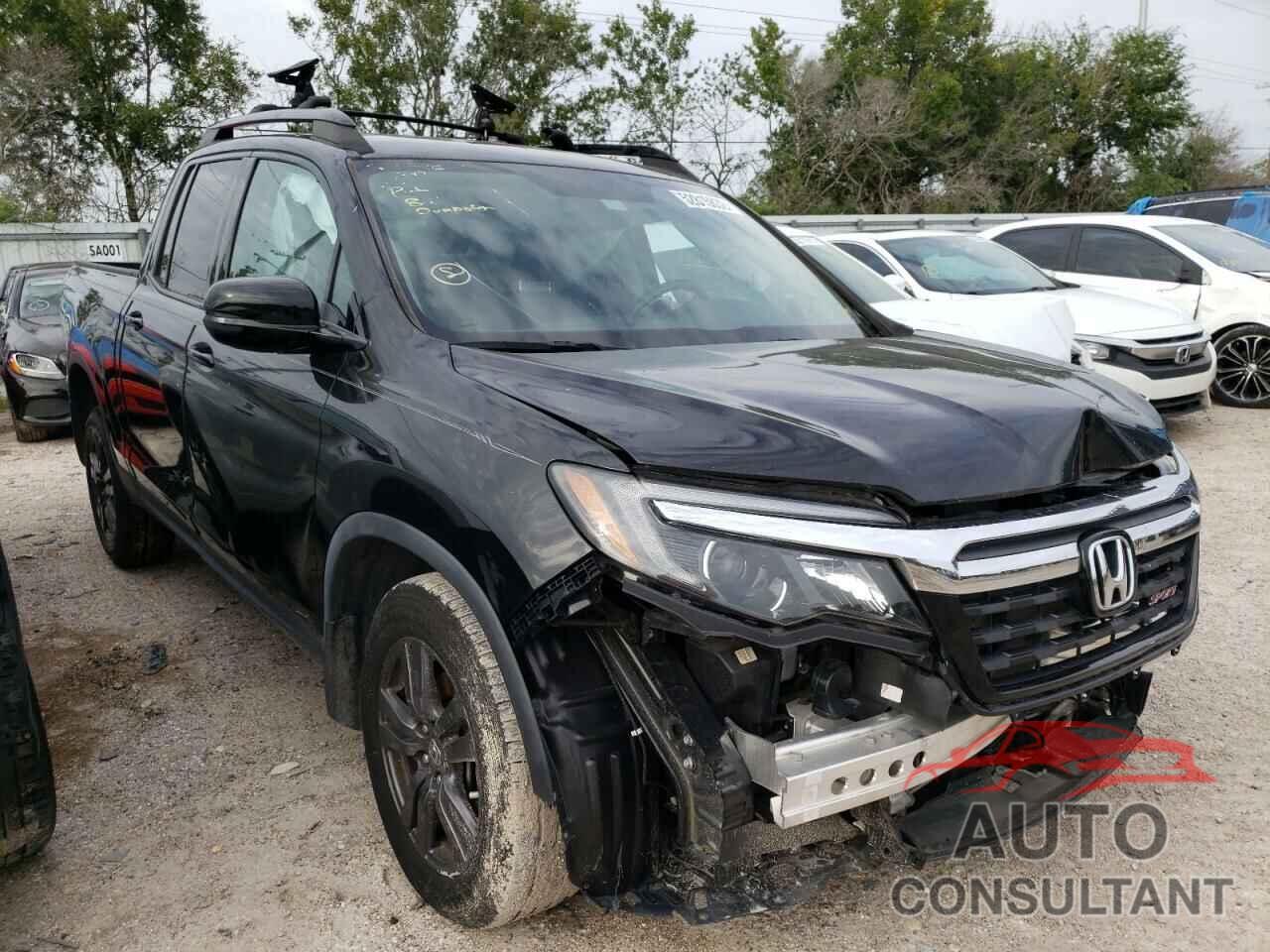 HONDA RIDGELINE 2019 - 5FPYK3F19KB037509