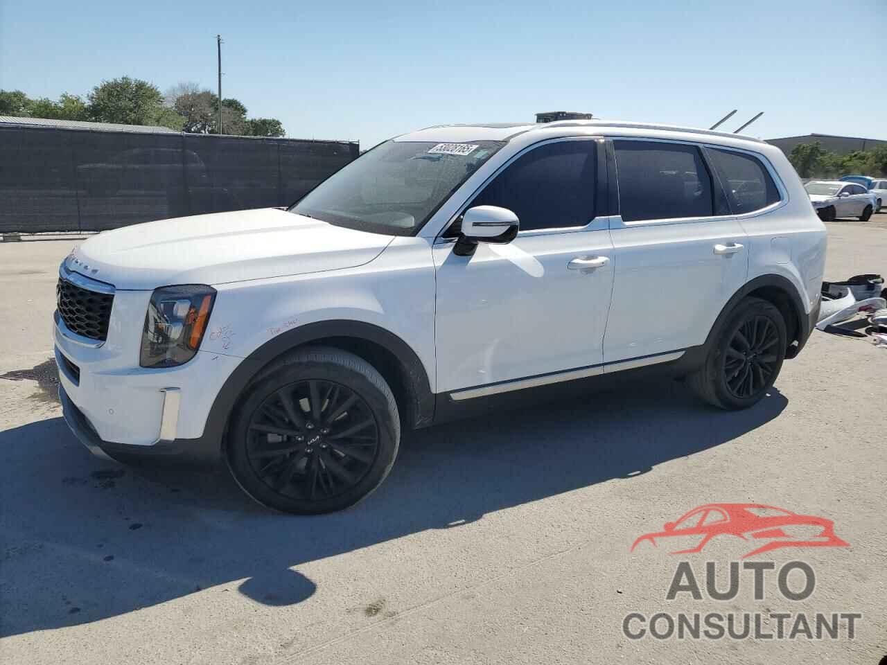 KIA TELLURIDE 2022 - 5XYP54HC1NG297027