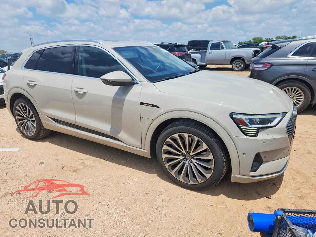 AUDI E-TRON 2019 - WA1VABGE5KB022870