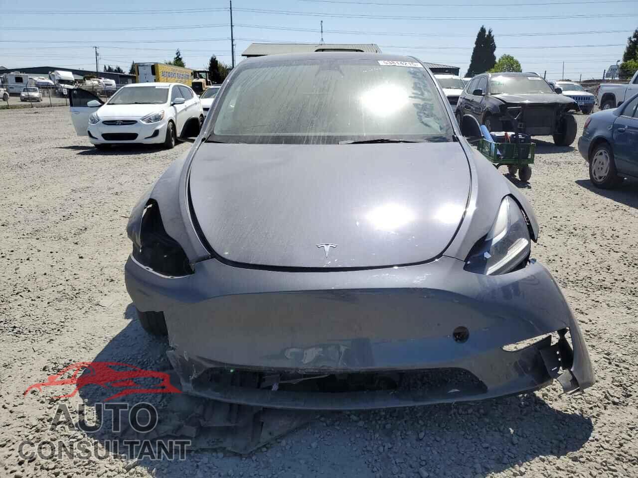 TESLA MODEL Y 2023 - 7SAYGAEEXPF764896