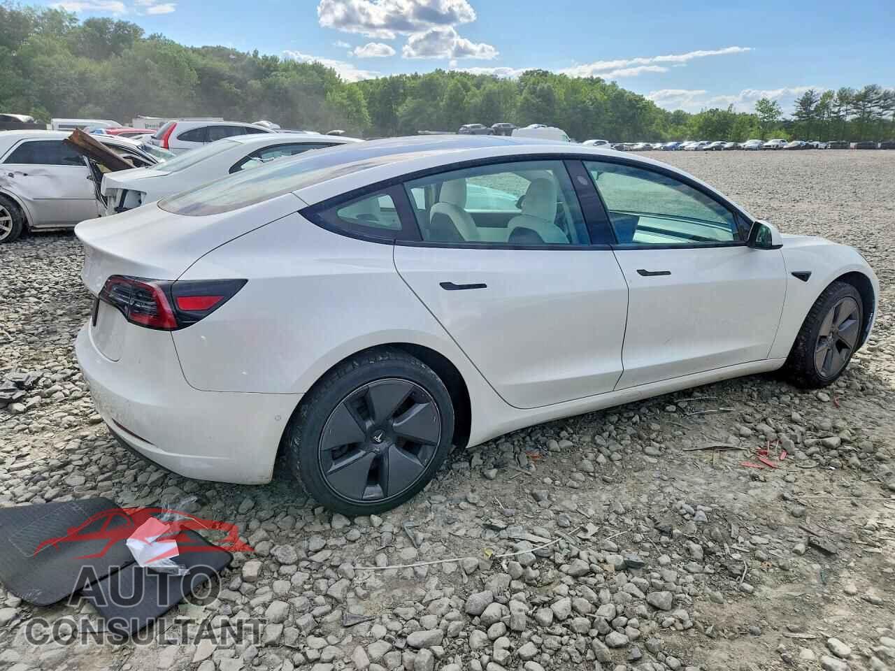 TESLA MODEL 3 2021 - 5YJ3E1EA3MF920492