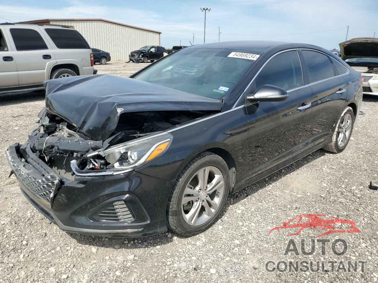 HYUNDAI SONATA 2019 - 5NPE34AF6KH754422