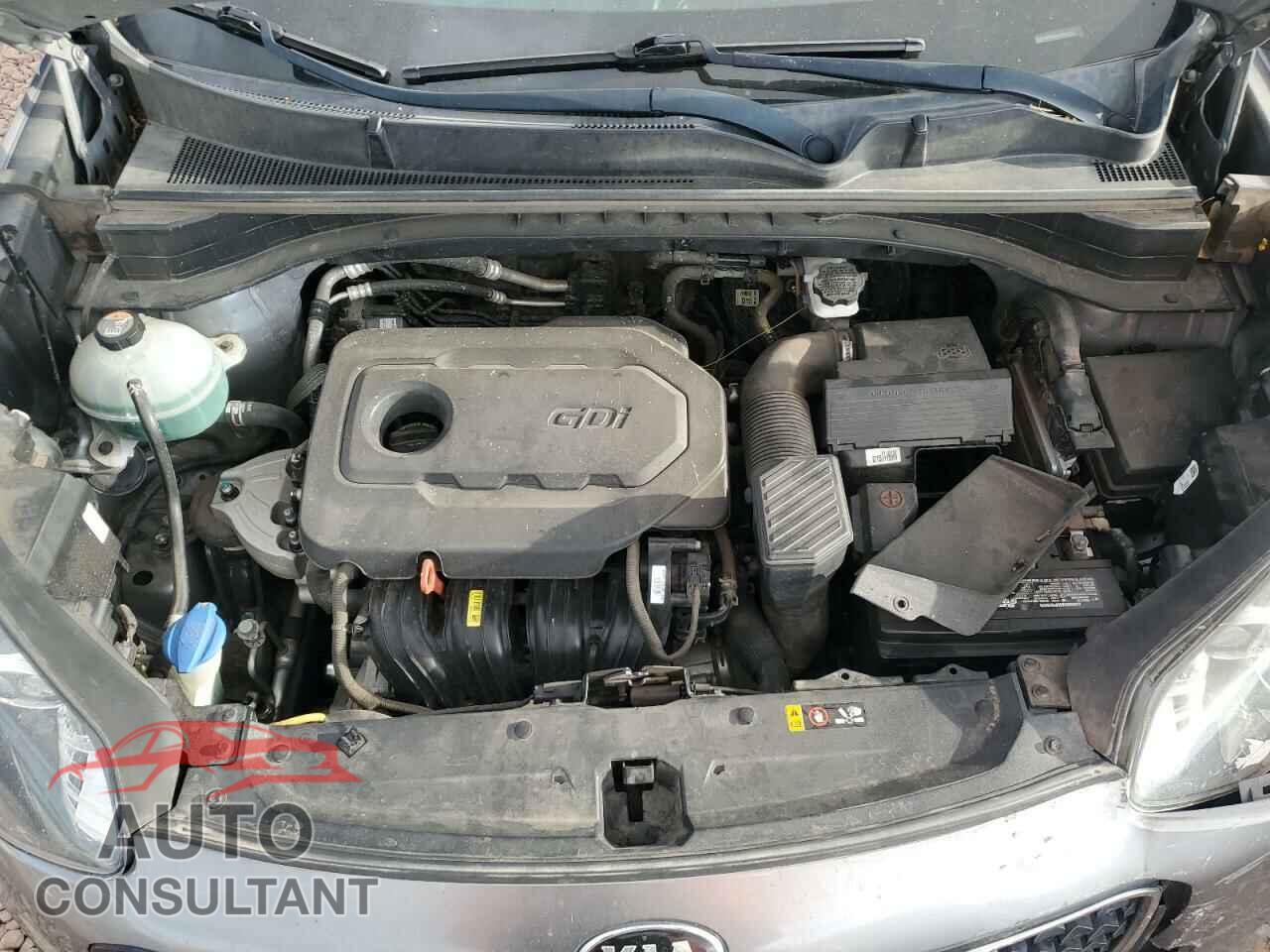 KIA SPORTAGE 2018 - KNDPM3AC2J7336657
