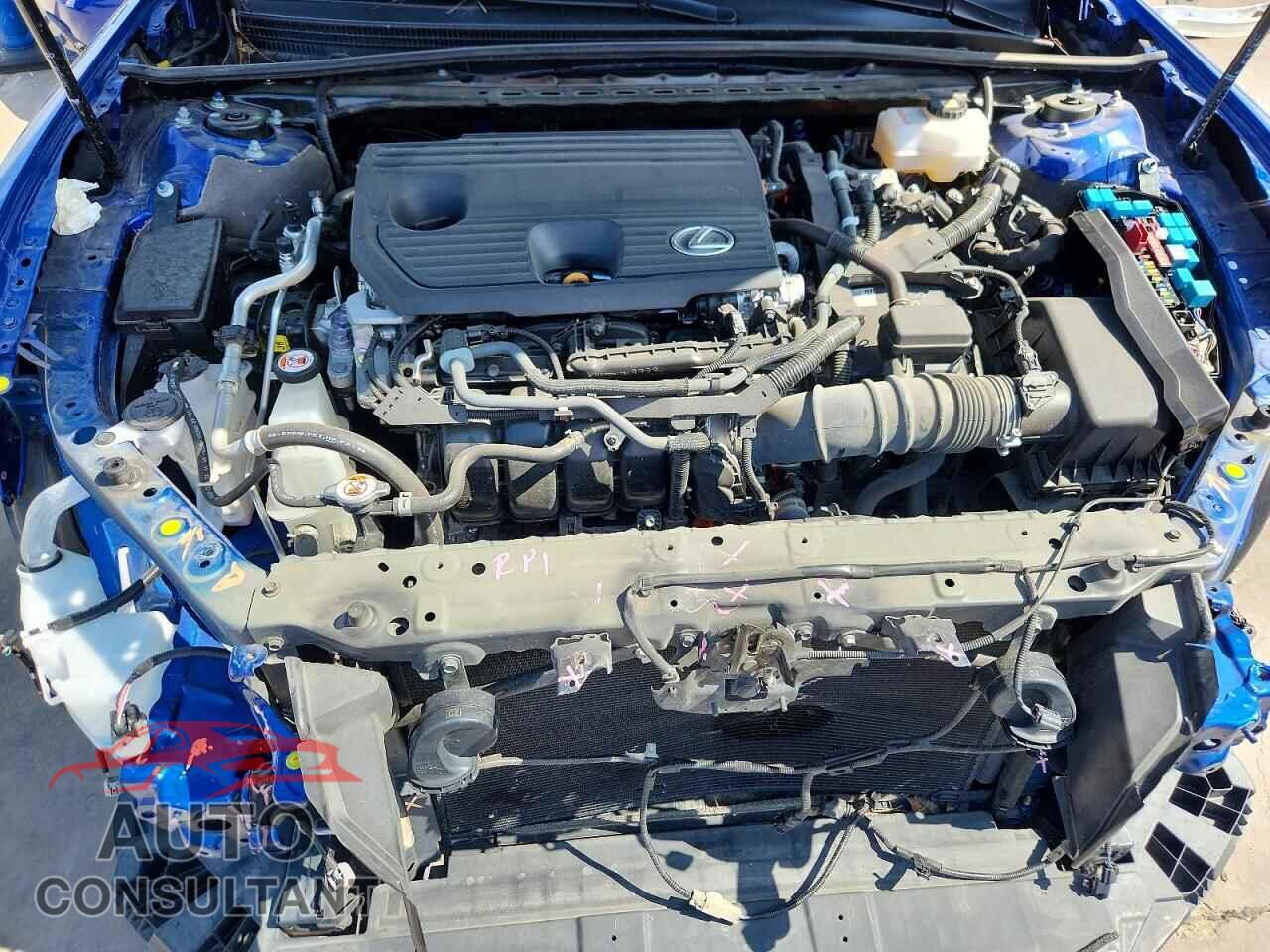 LEXUS ES300 2024 - 58ABA1C12RU037769