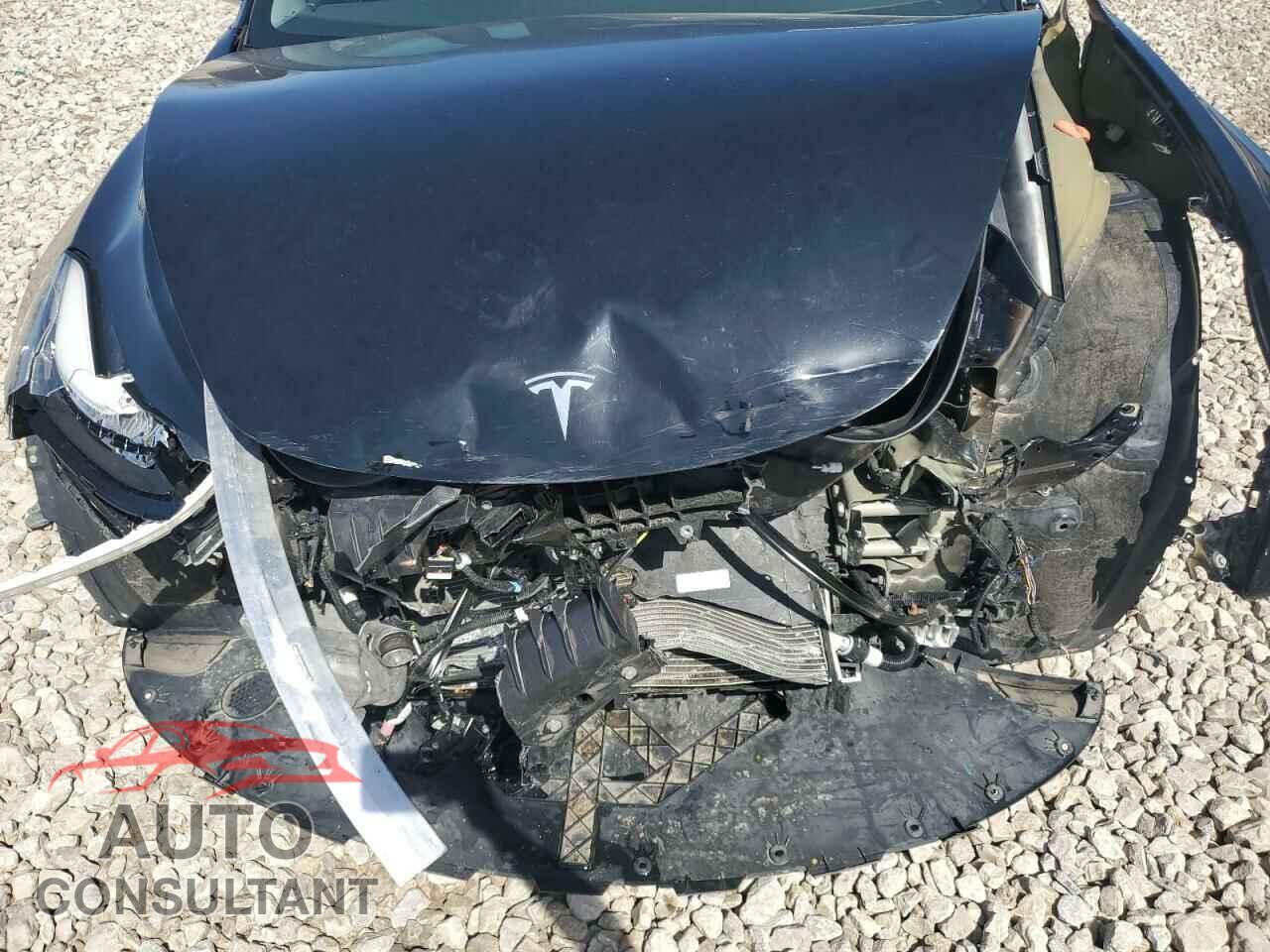 TESLA MODEL 3 2019 - 5YJ3E1EA3KF398251