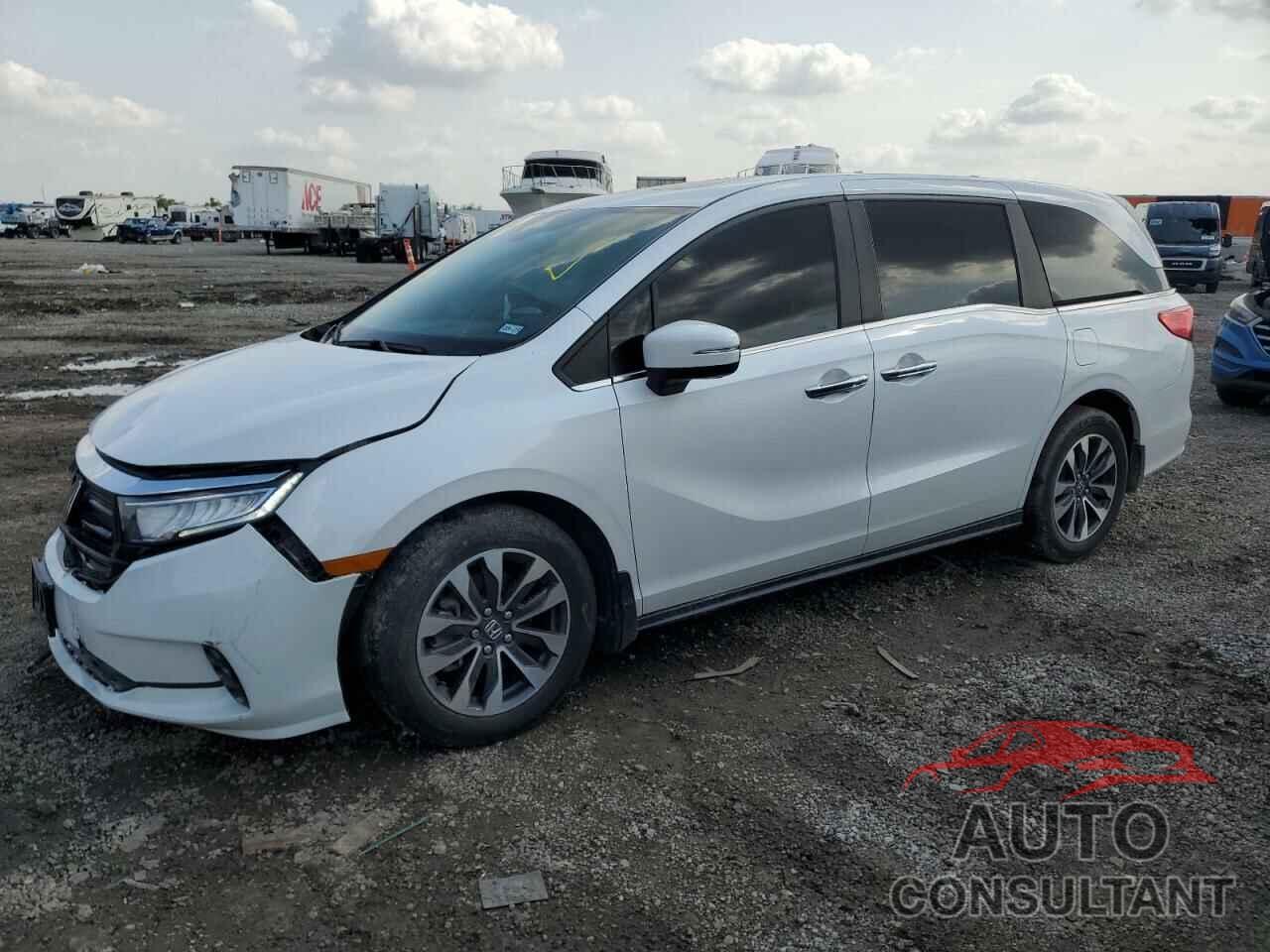 HONDA All Models 2024 - 5FNRL6H66RB000478