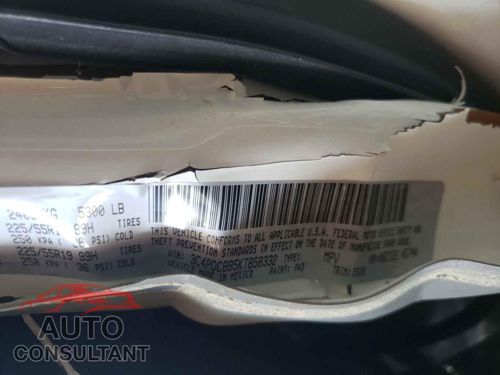 DODGE JOURNEY 2019 - 3C4PDCBB5KT858332