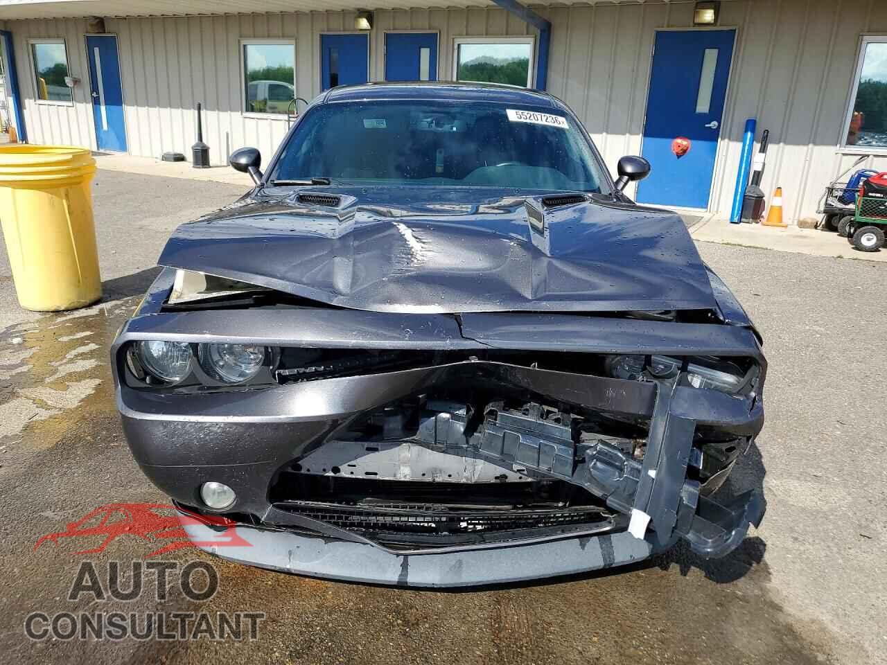 DODGE CHALLENGER 2014 - 2C3CDYBT4EH214391