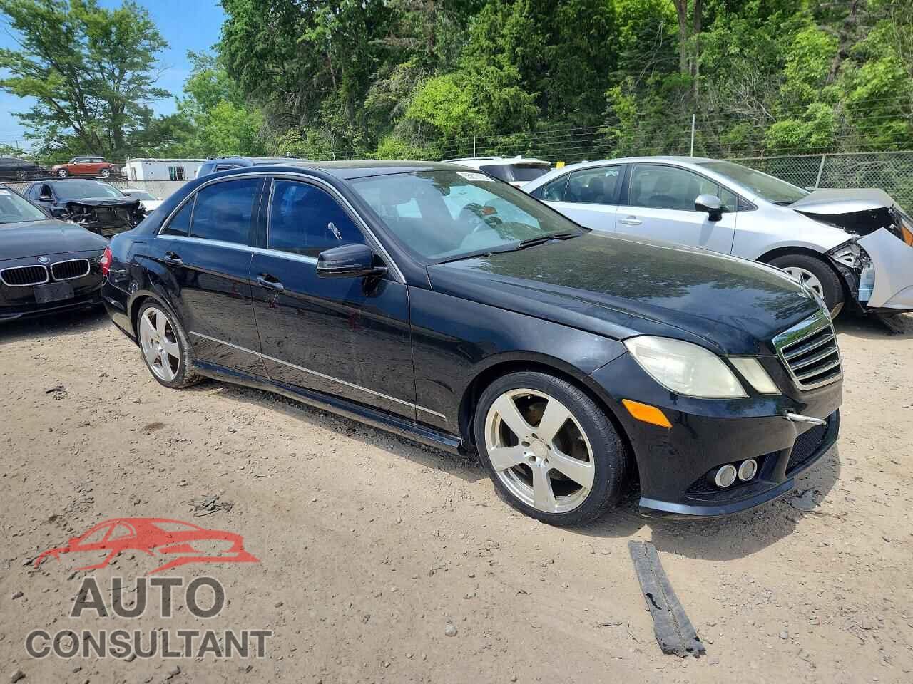 MERCEDES-BENZ E-CLASS 2010 - WDDHF8HB5AA063487