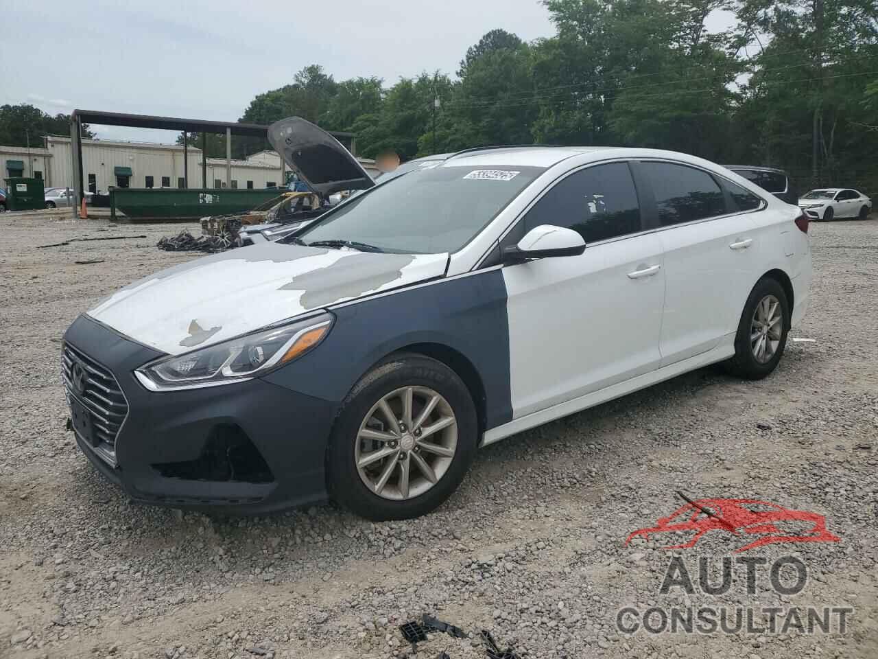 HYUNDAI SONATA 2019 - 5NPE24AF8KH774738