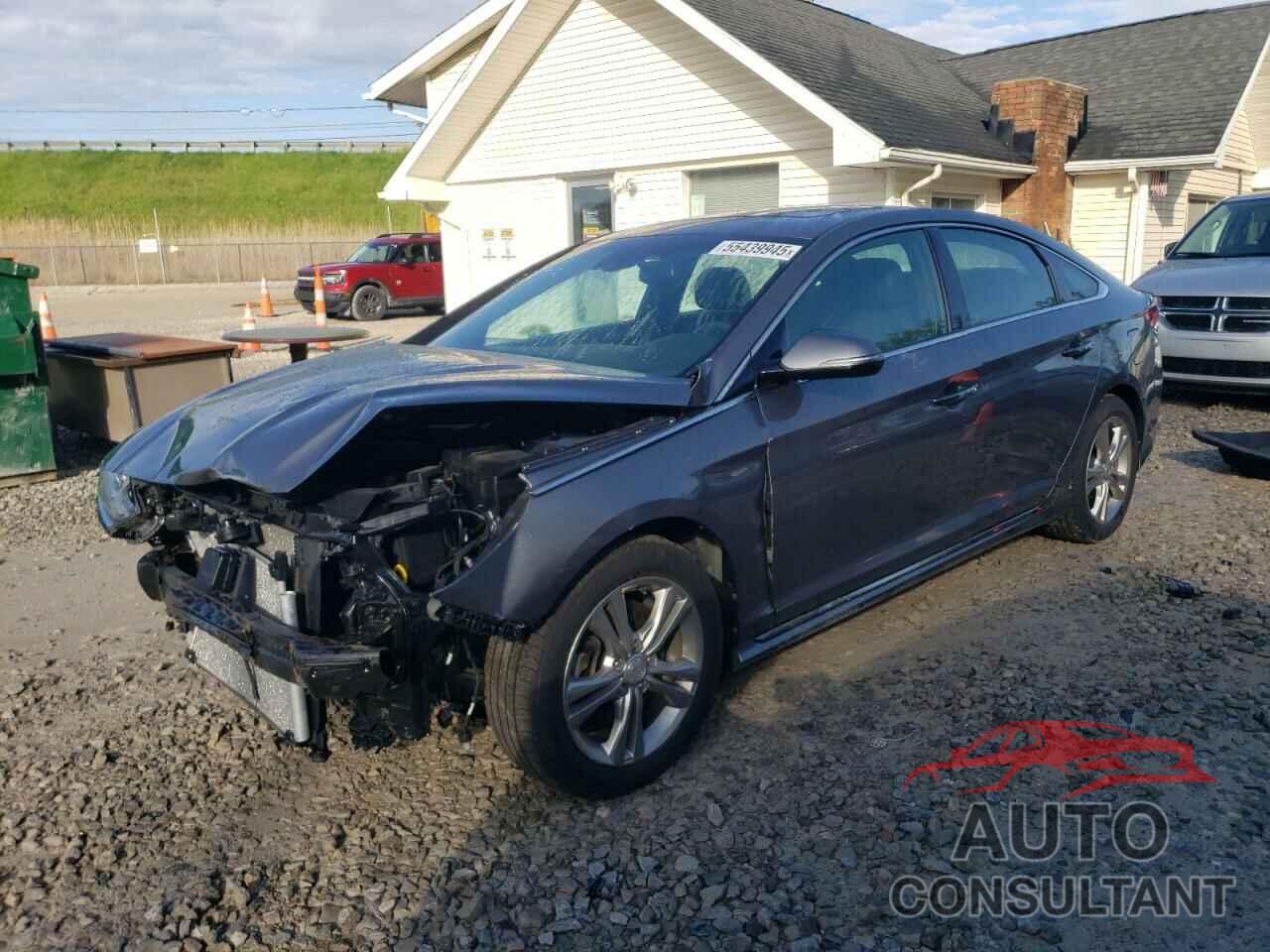 HYUNDAI SONATA 2019 - 5NPE34AF9KH815763