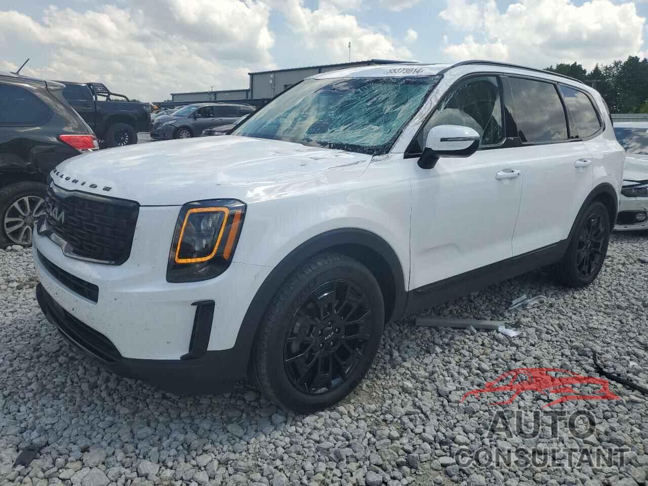 KIA TELLURIDE 2022 - 5XYP3DHC8NG300138