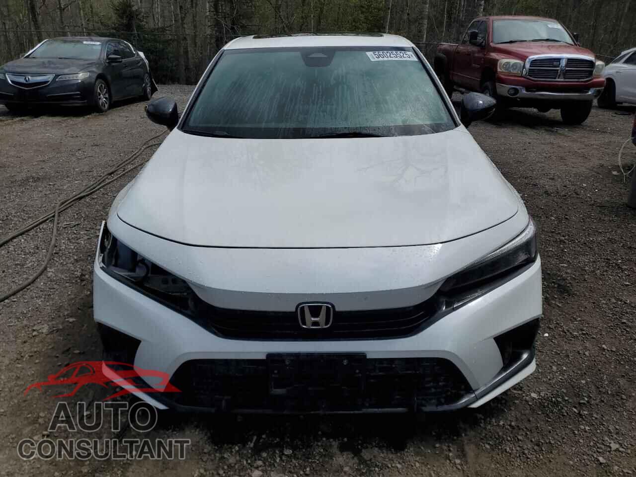 HONDA CIVIC 2024 - 2HGFE2F53RH101876