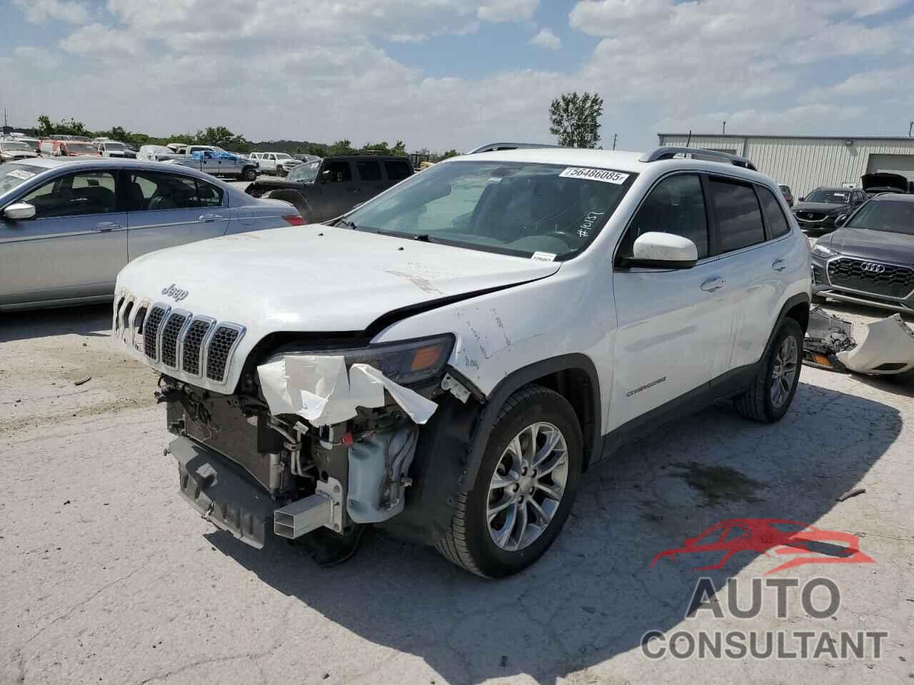 JEEP CHEROKEE 2019 - 1C4PJLLB9KD226110