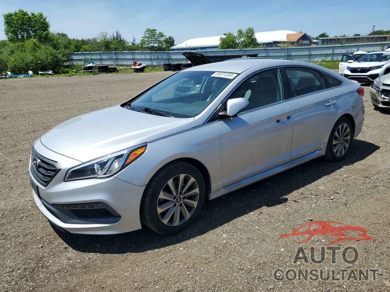 HYUNDAI SONATA 2016 - 5NPE34AF9GH313813
