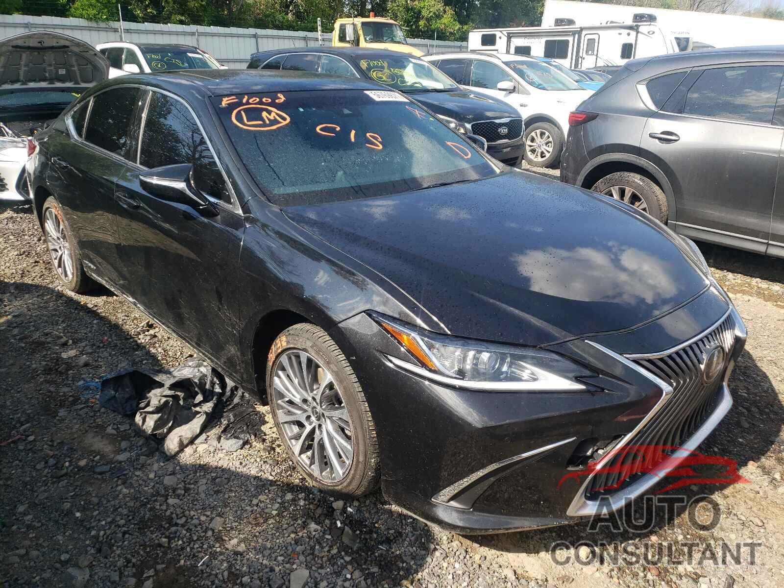 LEXUS ES300 2019 - JTHB21B15K2031975