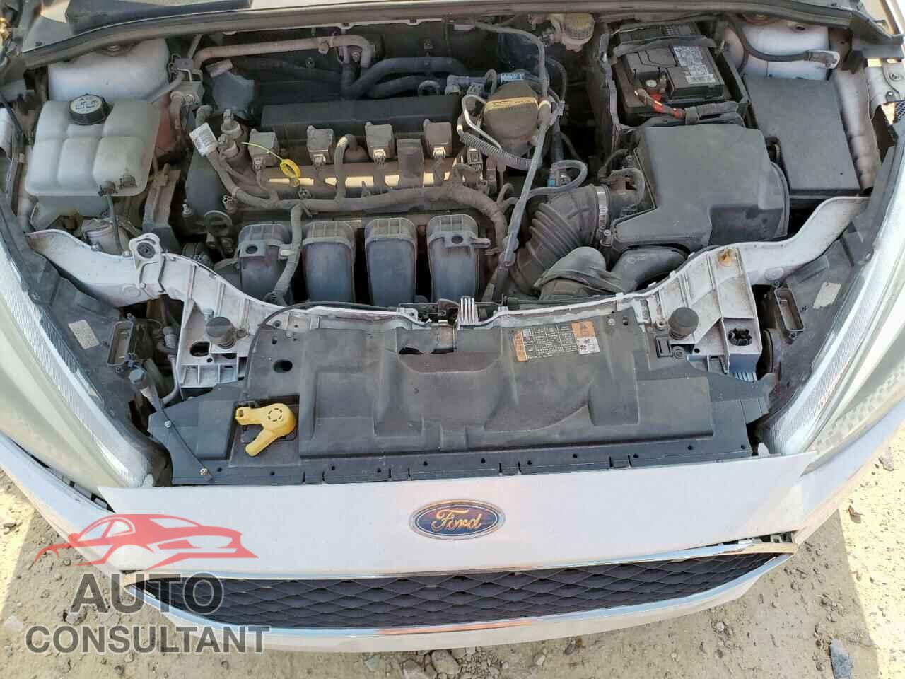 FORD FOCUS 2016 - 1FADP3K28GL244975