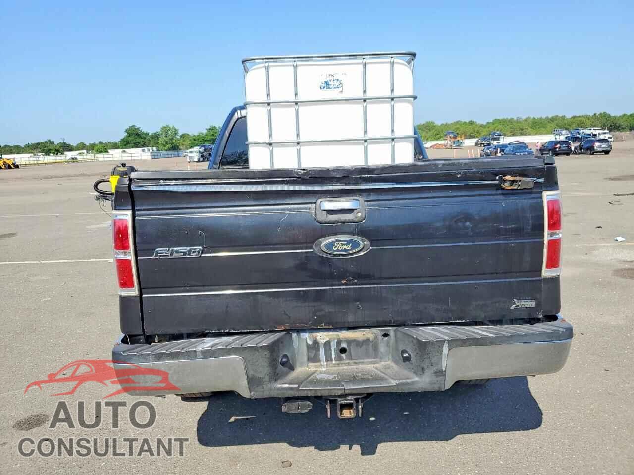 FORD F150 2010 - 1FTFX1EV7AFA00513