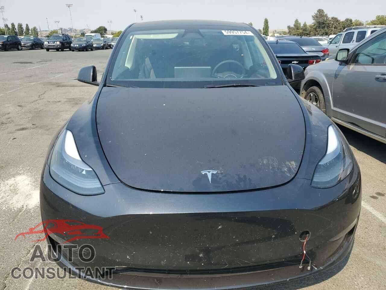 TESLA MODEL Y 2024 - 7SAYGDEE2RF007771