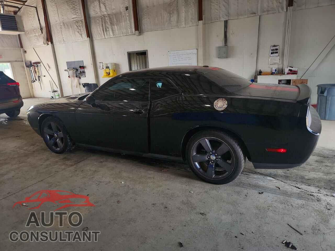 DODGE CHALLENGER 2013 - 2C3CDYAG8DH501560